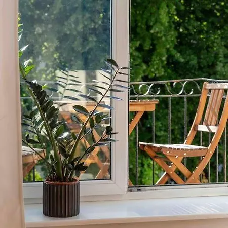 Appartement Charming In The Center *